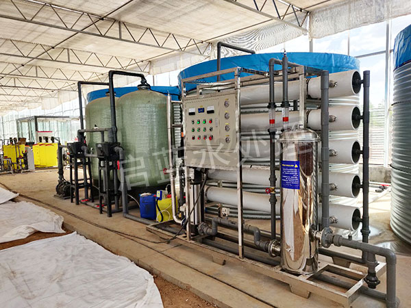 10T�μ�(j��)���B͸