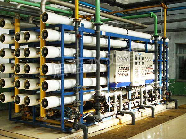 50T�p�����B͸